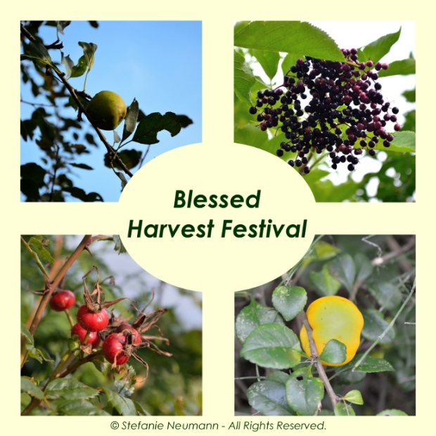 Blessed Harvest Festival 2016! © Stefanie Neumann - All Rights Reserved. #KokopelliBeeFree #KBFPhotography #HarvestFestival